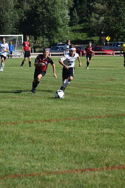 这都为他们 这都为他们