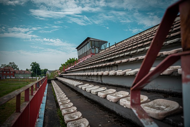 拍摄效果 拍摄效果