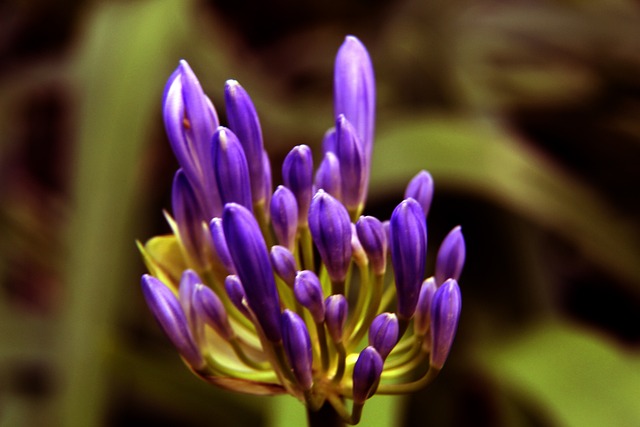 其决策的重 其决策的重