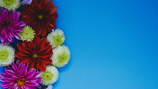 切尔西等俱 切尔西等俱